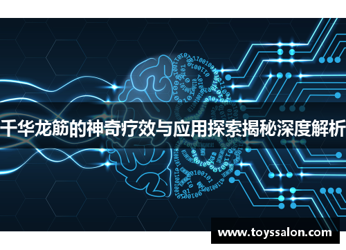 千华龙筋的神奇疗效与应用探索揭秘深度解析